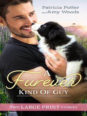 cover image of A Furever Kind of Guy / The Soldier's Promise / An Officer and Her